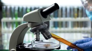 food engineering ecco la laurea per la sicurezza alimentare
