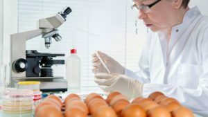 sicurezza alimentare l'europa lancia la campagna