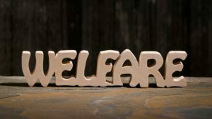 Il Welfare aumenta la produttività