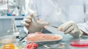 Qualità e sicurezza alimentare, quanto si guadagna col Master