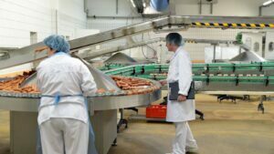 Master qualità e sicurezza alimentare di Time Vision