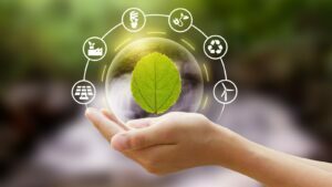 Agricoltura 4.0: nuove idee imprenditoriali
