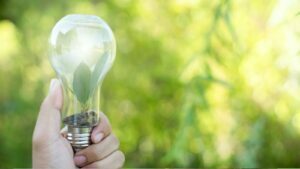 come avviare una startup sostenibile: le green challenge