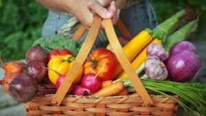 Food safety e awareness il master QSA