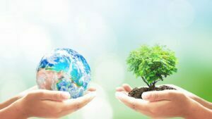 Campania Green: i progetti e i risultati