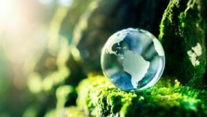 Fondo Nuove Competenze 2023: i nuovi corsi green