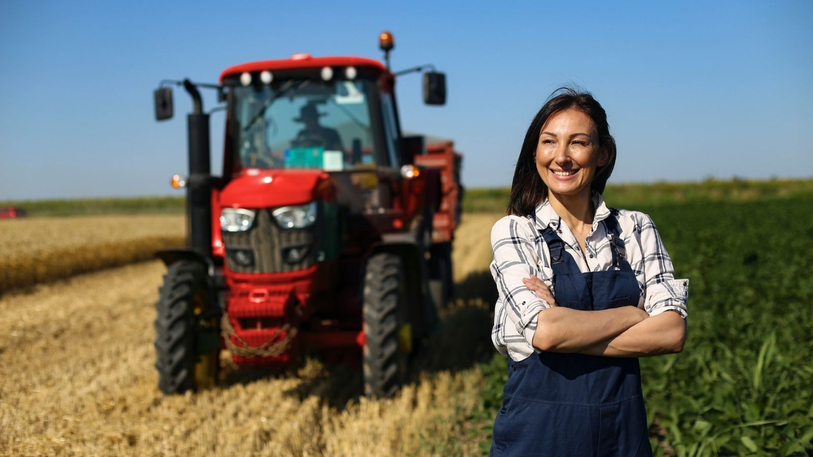 consulente agro-alimentare