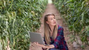 Agribusiness consultant: chi è e cosa fa