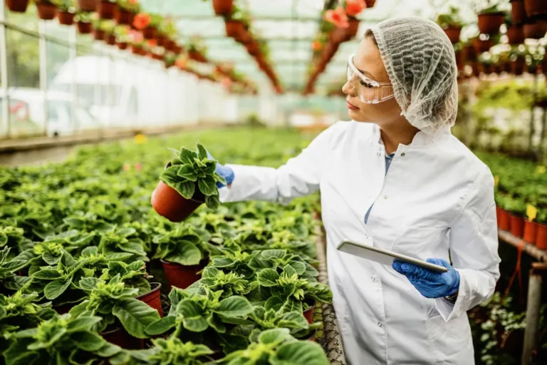 Biologo alimentare