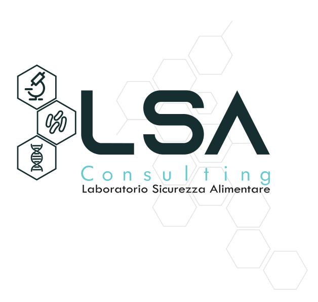 LSA CONSULTING-1