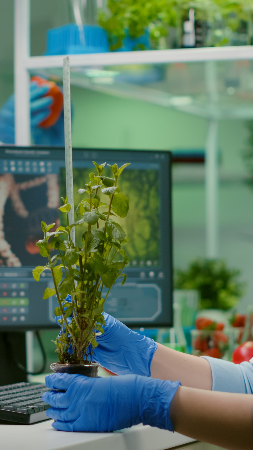 Formazione Tecnologi Alimentari